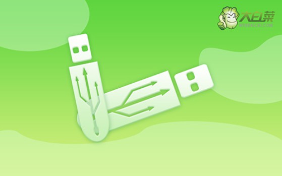 大白菜u盤裝win10系統(tǒng)  大白菜U盤裝win10系統(tǒng)